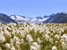 Austria, Zillertal, Kaltenbach, Wohlfühlhotel Kerschdorfer adults only